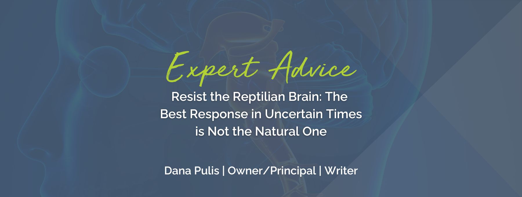 Expert Advise: Resist the Reptilian Brain - The Best Response in Uncertain Times is Not the Natural One