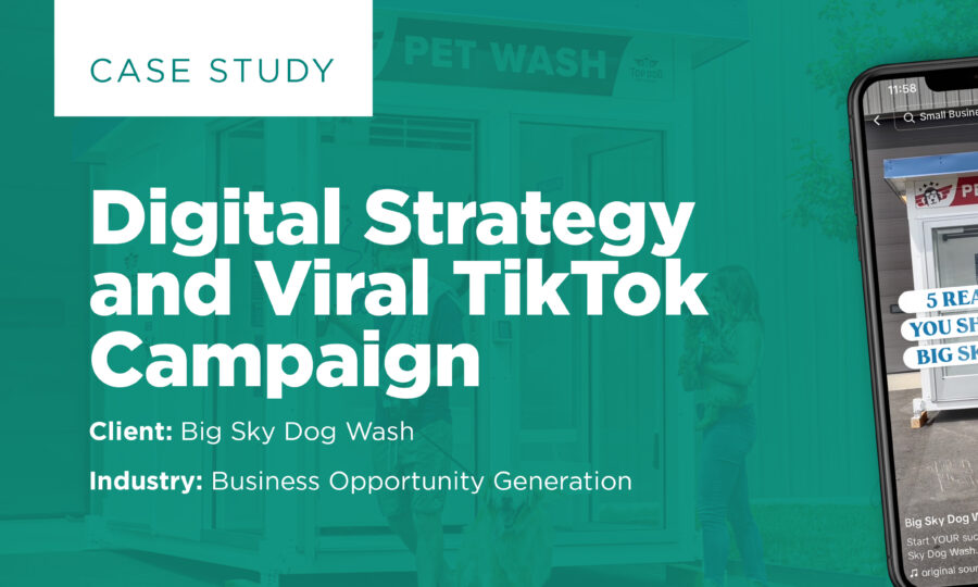 Viral TikTok Campaign