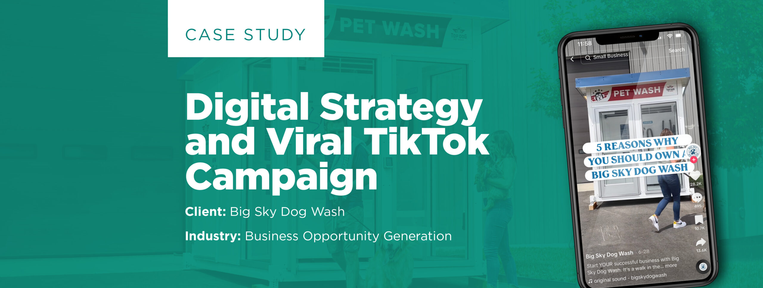 Viral TikTok Campaign