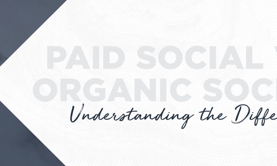 paid vs organic media