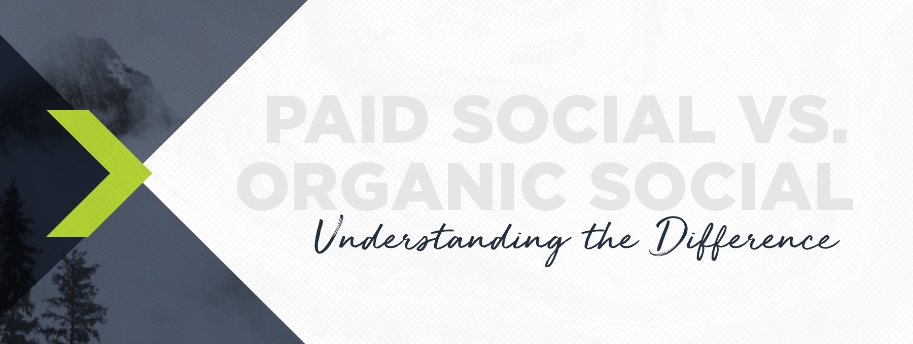 paid vs organic media